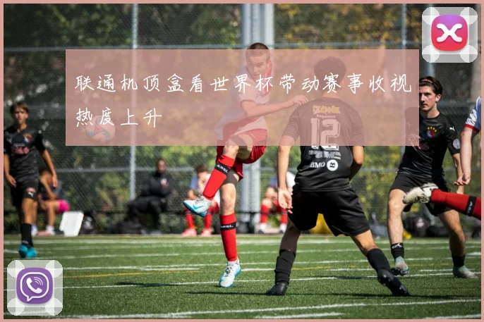 联通机顶盒看世界杯带动赛事收视热度上升