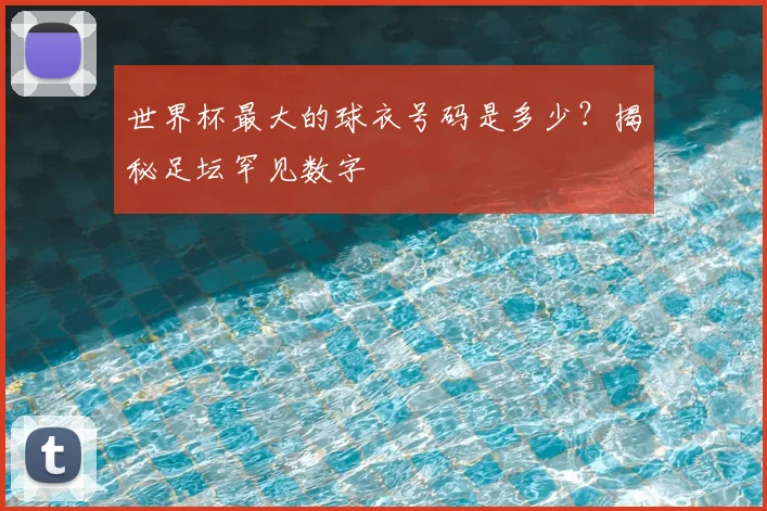 世界杯最大的球衣号码是多少?揭秘足坛罕见数字