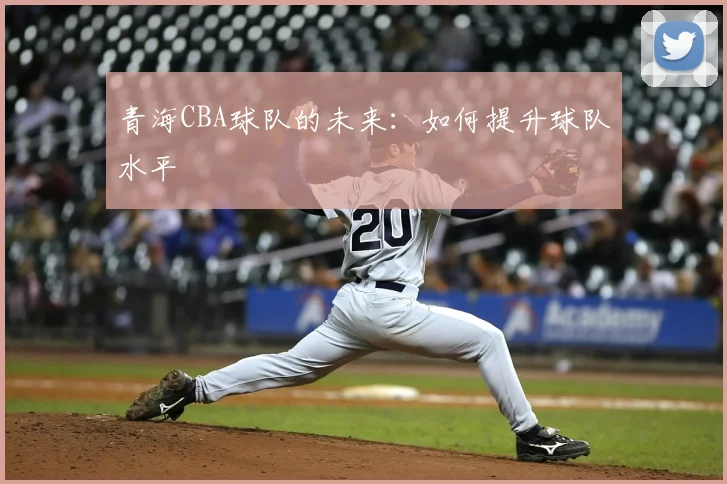 青海CBA球队的未来：如何提升球队水平