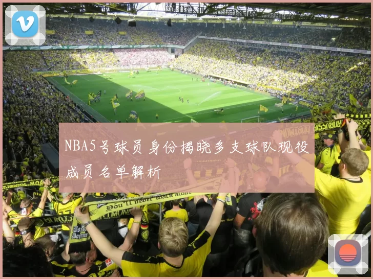 NBA5号球员身份揭晓多支球队现役成员名单解析