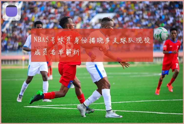 NBA5号球员身份揭晓多支球队现役成员名单解析