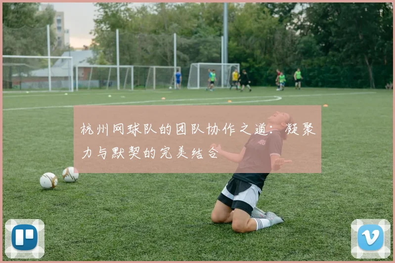 杭州网球队的团队协作之道：凝聚力与默契的完美结合