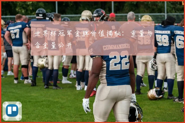 世界杯冠军金牌价值揭秘:重量与含金量公开