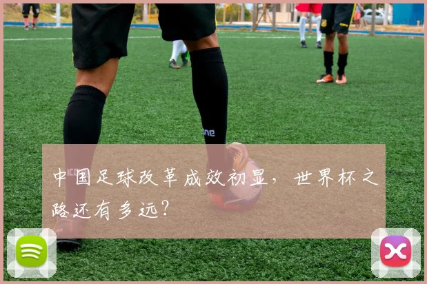 中国足球改革成效初显，世界杯之路还有多远？