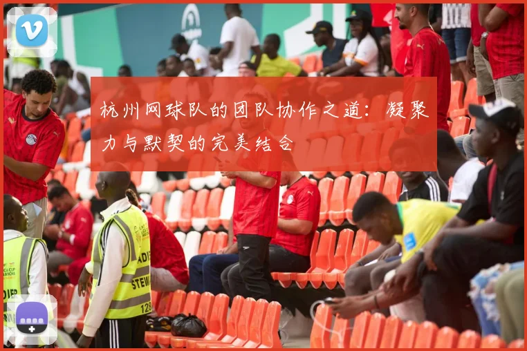 杭州网球队的团队协作之道：凝聚力与默契的完美结合