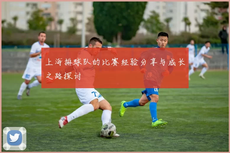 上海排球队的比赛经验分享与成长之路探讨