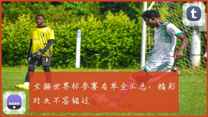 女排世界杯参赛名单全汇总，精彩对决不容错过