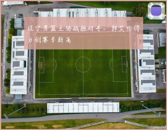 辽宁男篮主场战胜对手,郭艾伦得分创赛季新高