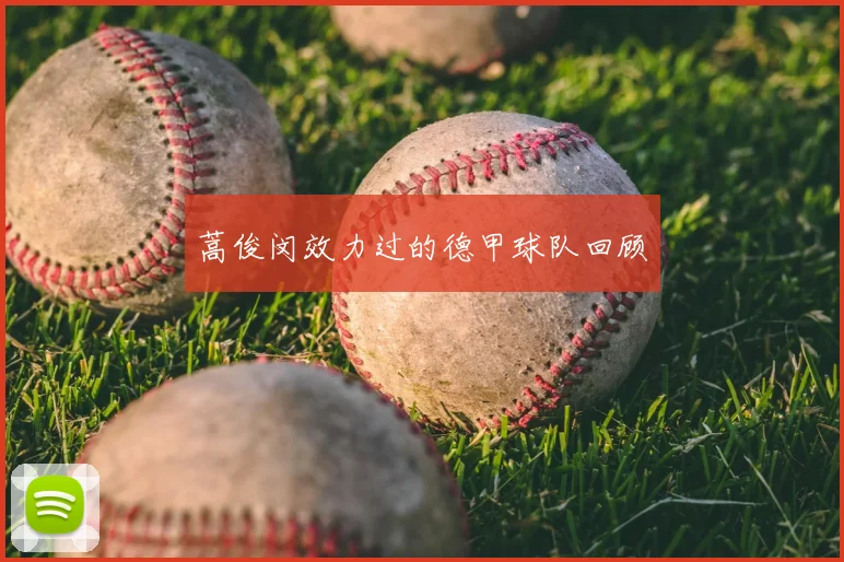 蒿俊闵效力过的德甲球队回顾
