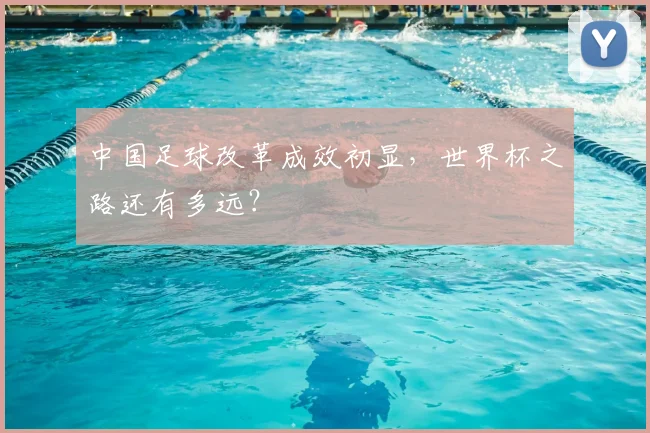 中国足球改革成效初显，世界杯之路还有多远？