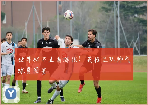 世界杯不止看球技！英格兰队帅气球员图鉴