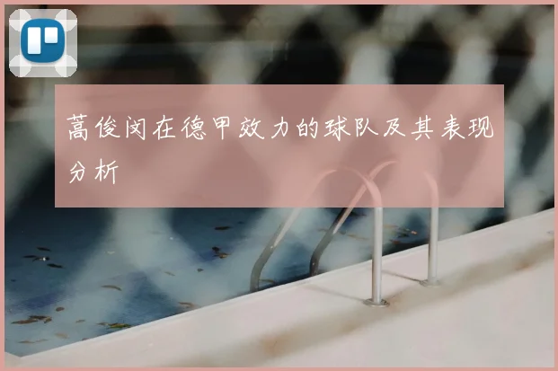 蒿俊闵在德甲效力的球队及其表现分析