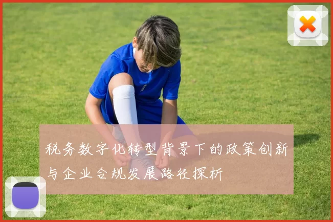 税务数字化转型背景下的政策创新与企业合规发展路径探析